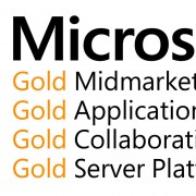 Infopulse Becomes Microsoft Gold Partner in New Competences - 241259 Infopulse Becomes Microsoft Gold Partner in New Competences - Infopulse - 241259