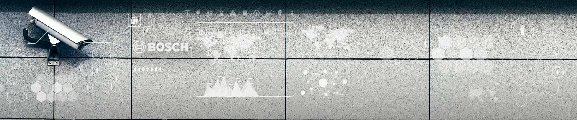 Case Study Bosch: Software Development of Core Business Application