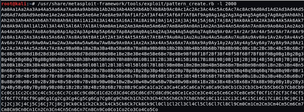 Pentester’s Training and Practice: Buffer Overflow for Newbies - Infopulse - 6