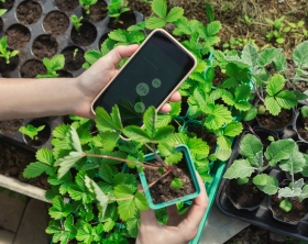 IoT as the Core of Digital Farming and Agriculture [thumbnail]