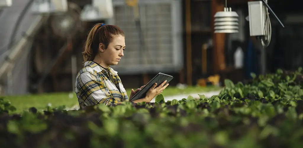 Assessing Azure Sentinel Capabilities for a Major Agricultural Company - case study image