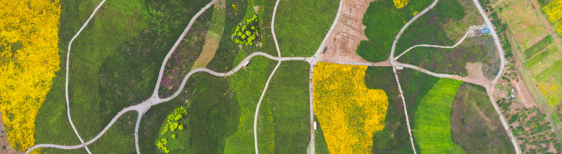 Satellite Data in Remote Sensing Technology in Agriculture