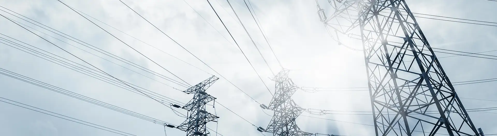 Creating Separate IT Ecosystem for Nordic Electricity Distributor - Banner