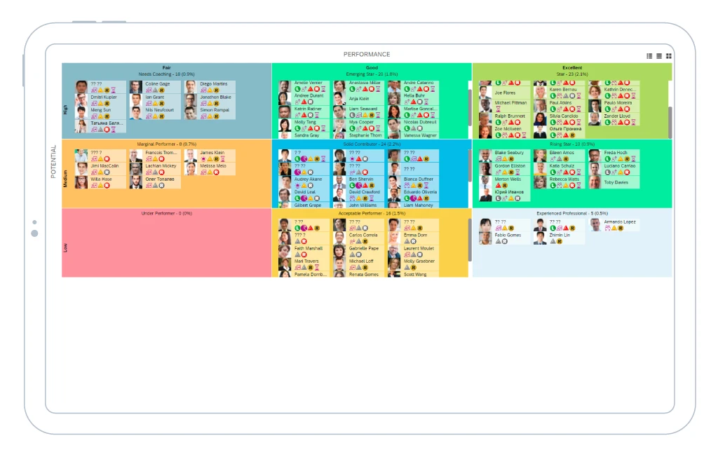 Performance and Potential Matrix 