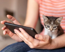 Mental Health Apps for Stress Relief: All You Need to Know - Thumbnail