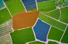 Robust Land Management App Utilizing Satellite Imagery for Corteva