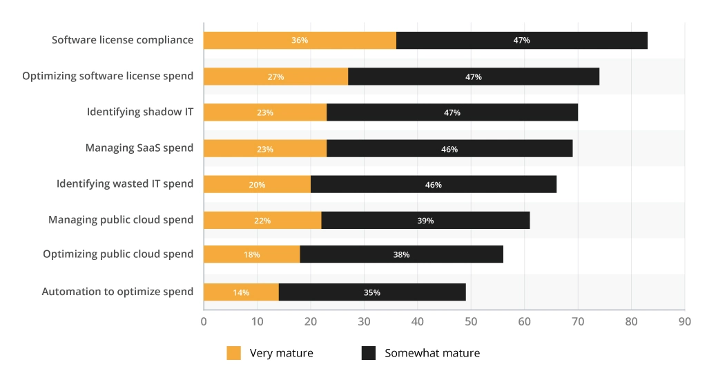 Cloud Spend Maturity