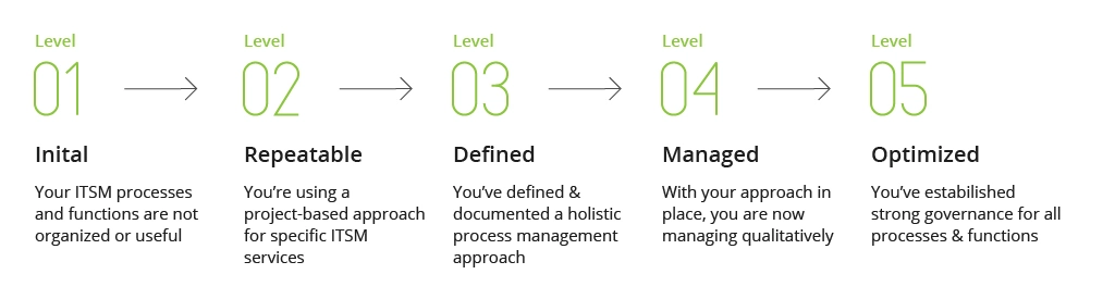 The ITIL Maturity Model