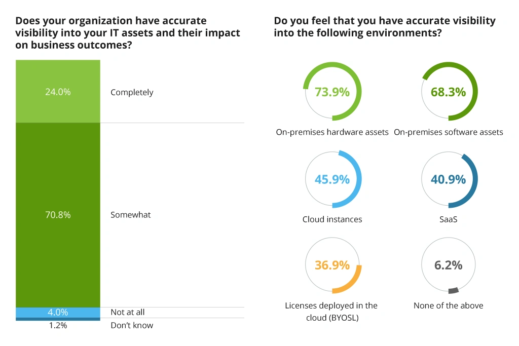 Visibility into IT assets and environments