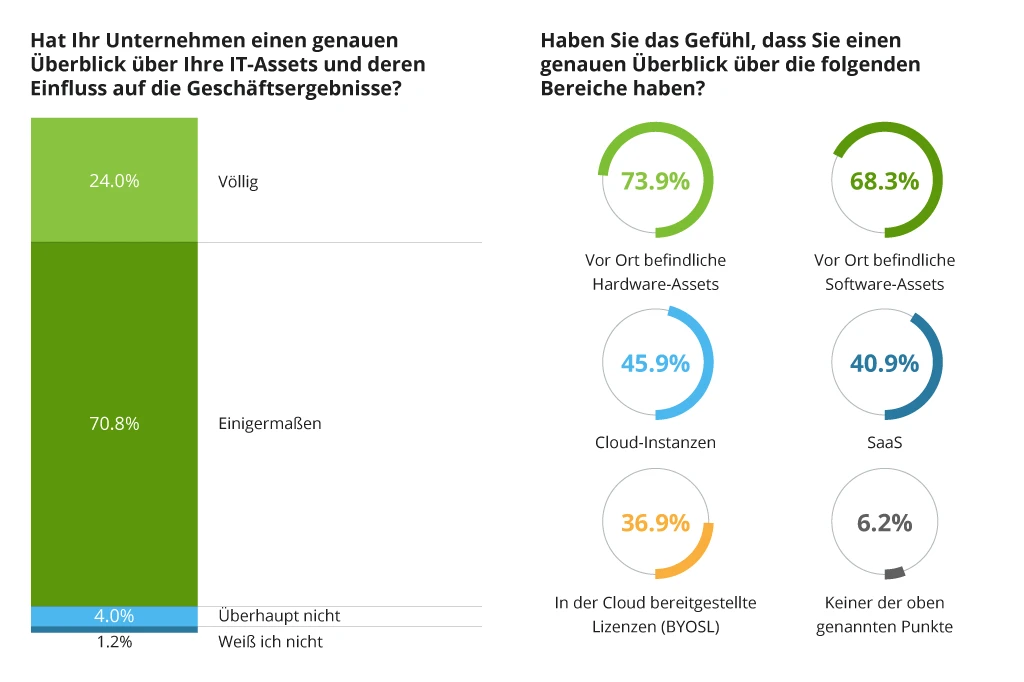 Sichtbarkeit von IT-Assets und -Umgebungen