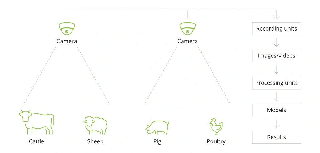 Applying computer vision for cattle monitoring