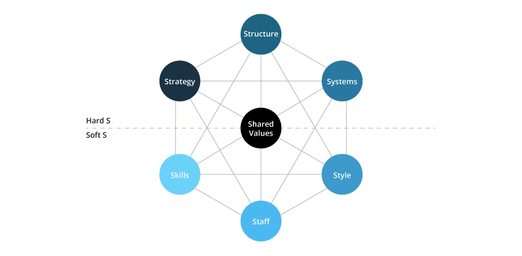 Mckinsey S7