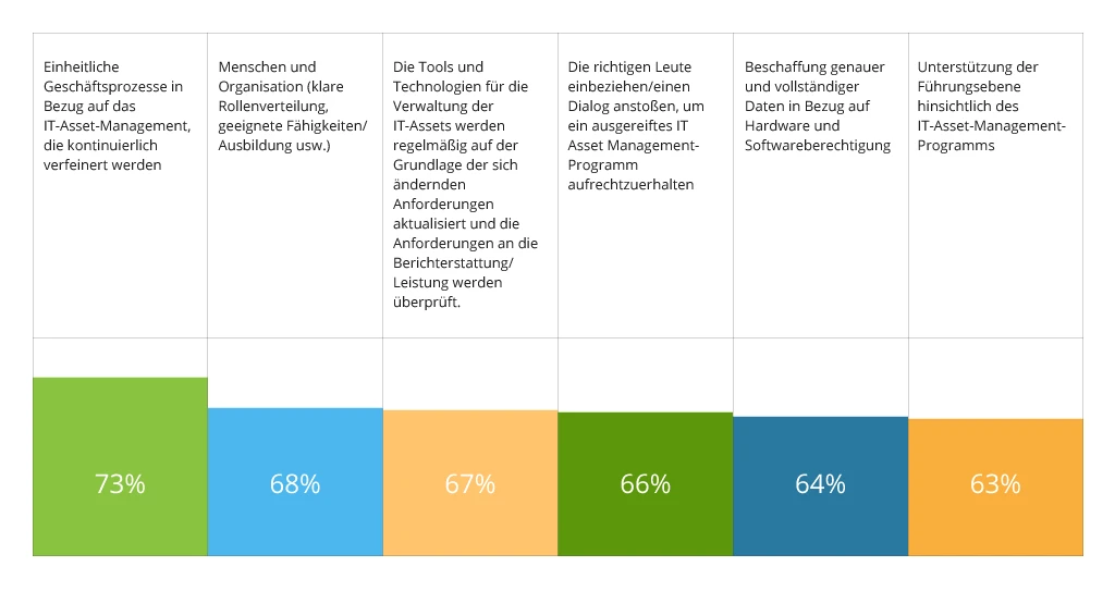 Schmerzpunkte von ITAM-Programmen