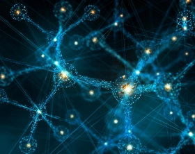  A Guide to the AI Act Adoption