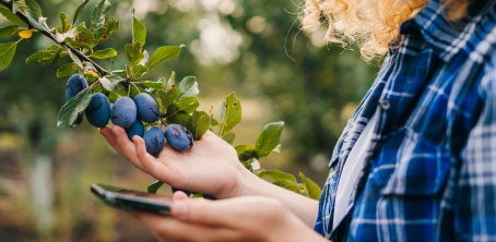 How to Build an IoT Data Platform for Agriculture?