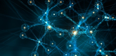  A Guide to the AI Act Adoption