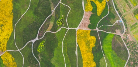 Satellite Data in Remote Sensing Technology in Agriculture